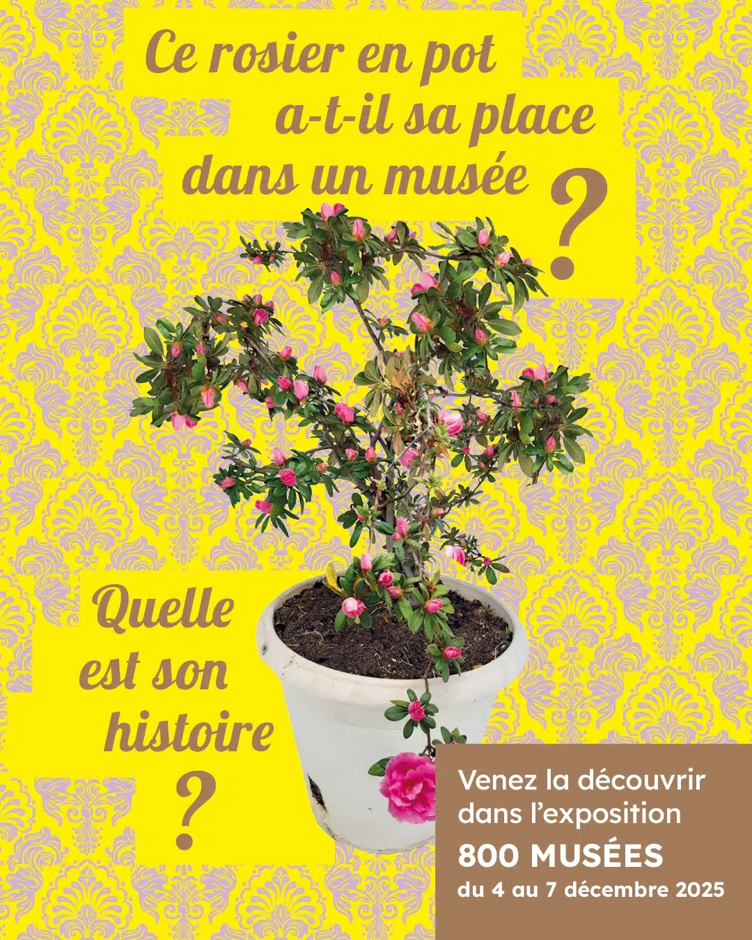 Illustration de 800 musées : les objets nous racontent ! (exposition)